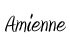 lettertype: Amienne
