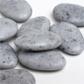 Suikerbonen Vanparys stone glanzend