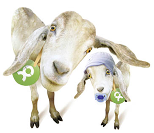 "Oxfam Pakt Uit"